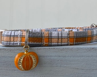 pumpkin cat collar