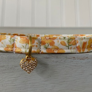 Cat Collar, Cat Collar, Dog Collar, Halloween Collar, Cat Breakaway, Dog Non-Breakaway, Custom Sizes