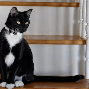 Wedding Cat Collar Breakaway Collar with bell, Dog Mini Collar, Cat Breakaway Safety Collar