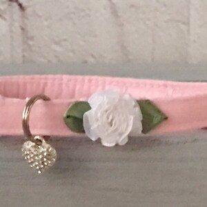 Cat Collar  Cat  Breakaway Collar Custom Made  Cat Collar