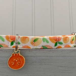 Cat Collar, Dog Collar, Peaches Collar, Cat Breakaway Collar, Peach Dog Non-Breakaway, Custom Sizes