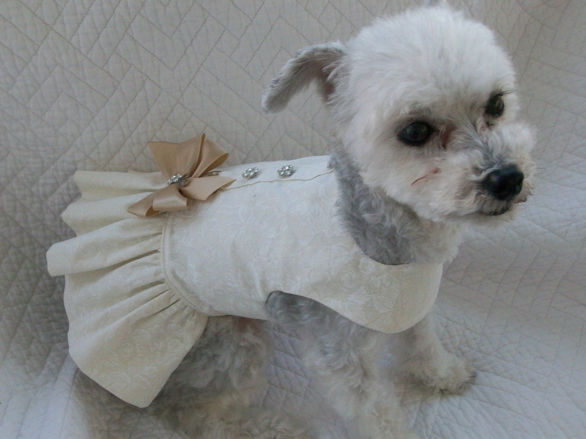 Wedding Dog Dress Harness for Dog or Cat Outfit Etsy