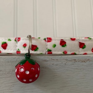Cat Collar, Dog Collar, Strawberry Collar, Breakaway , Non-Breakaway, Custom Sizes