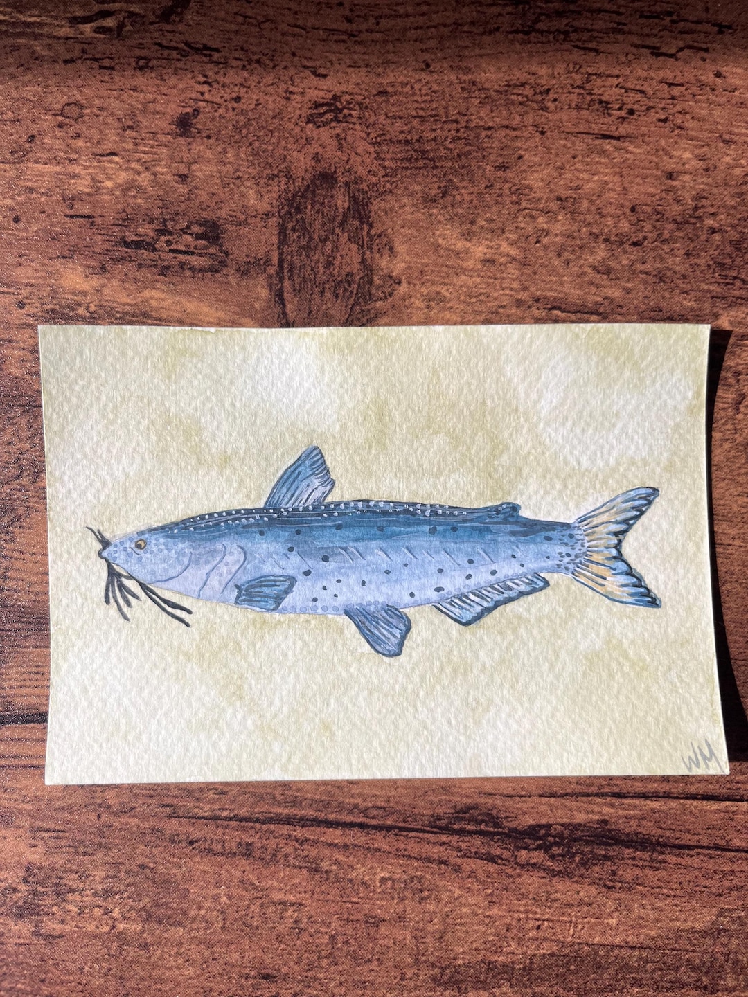 Hand-painted Watercolor Freshwater Catfish - Etsy