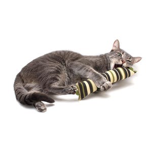 May include: A gray tabby cat playing with a striped cat toy. The toy is made of fabric and has a green, black, and white striped pattern.