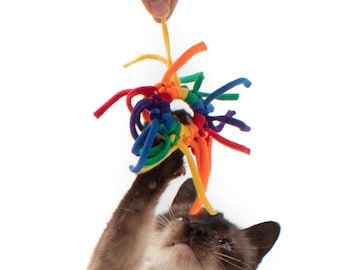 Spider Ring Cat Toy