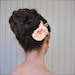 see more listings in the Flower Clips section