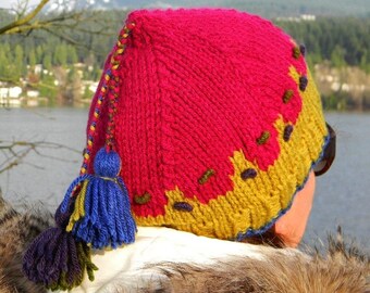 READY TO SHIP - Hand Knit Hat - Pea Green and Fuchsia Hat with tassels - Knitted Adul;t Hat - Accessories