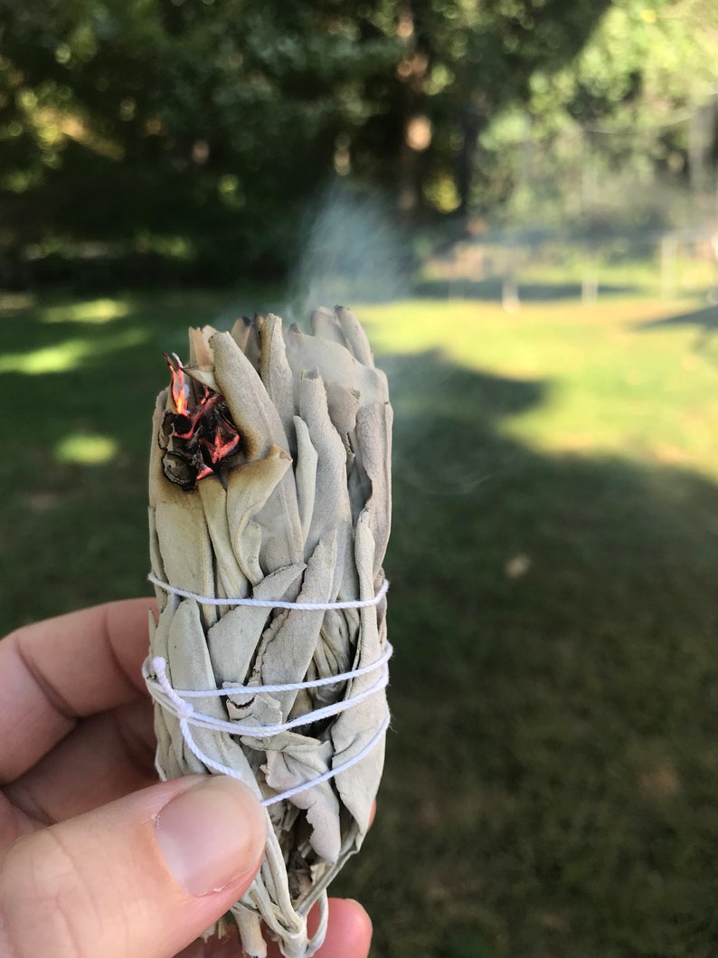 White Sage Bundles Incense Cleansing Reiki Smudge Sage Etsy