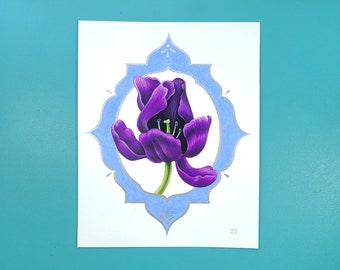 Original art on paper | 8x10 colored pencils drawing | Purple Tulip by Grelin Machin