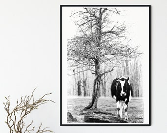Dier Foto Koe en Boom Rustieke Kunst Zwart-Wit Print voor Boerderij Home Decor Wall Art