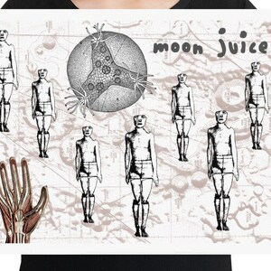 Moon Juice Fine Art Collage Digital Print of Collage Women and Biology Vintage Illustration Organic Rustic Wall Art Home Decor