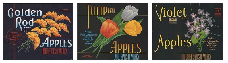 RARE LOT Three 1940s Tulip Golden Rod Violet Apple Box Labels Yakima ...