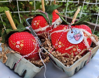 Strawberry in Vintage Basket Spring Garden