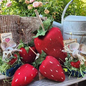Primitive Mice with Strawberry in basket image 3