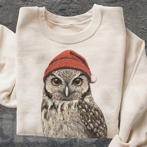 May include: Cream-colored sweatshirt featuring a detailed illustration of an owl wearing a red knit cap. The owl has brown and white feathers and large, expressive eyes. The sleeves are rolled up. The words "OLD SCHOOL CURIOS" are in the bottom right corner.