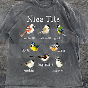 May include: A gray t-shirt with the text "Nice Tits" and illustrations of various bird species. The birds are labeled with their common names, such as "bearded tit" and "willow tit". The shirt also has the text "OLD SCHOOL CURIOS".