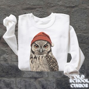 May include: White sweatshirt featuring a detailed illustration of an owl wearing a red Santa hat. The owl has brown and white feathers and large, expressive eyes. The sweatshirt has long sleeves and a crew neck.