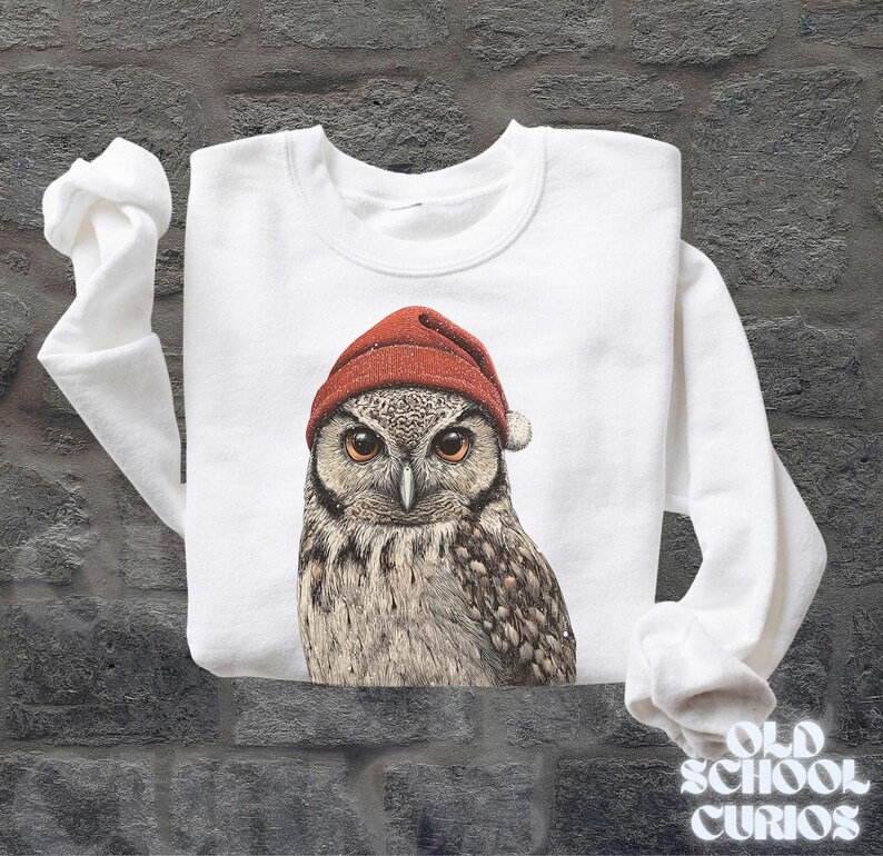 May include: White sweatshirt featuring a detailed illustration of an owl wearing a red Santa hat. The owl has brown and white feathers and large, expressive eyes. The sweatshirt has long sleeves and a crew neck.