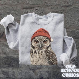 May include: A light gray sweatshirt featuring a detailed illustration of an owl wearing a red knit cap. The owl has large, expressive eyes and is centered on the front of the sweatshirt. The sleeves are cuffed. The words "OLD SCHOOL CURIOS" are at the bottom right.