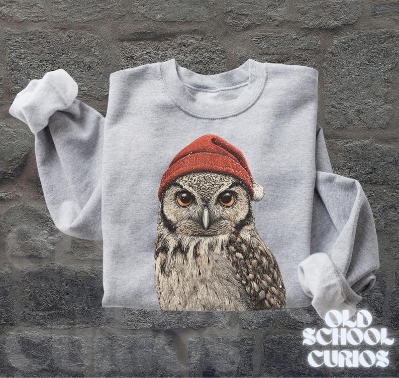 May include: A light gray sweatshirt featuring a detailed illustration of an owl wearing a red knit cap. The owl has large, expressive eyes and is centered on the front of the sweatshirt. The sleeves are cuffed. The words "OLD SCHOOL CURIOS" are at the bottom right.