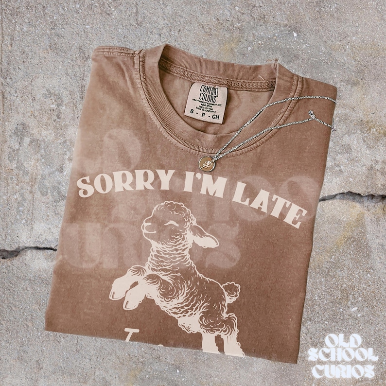 May include: A brown Comfort Colors t-shirt with the text "SORRY I'M LATE" and a graphic of a lamb. A silver necklace with a pendant is on the shirt. The shirt is folded on a textured surface.