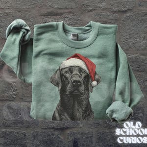 Pu&ograve; includere: Una felpa verde chiaro con un Labrador Retriever nero con un cappello da Babbo Natale. Il ritratto del cane &egrave; centrato sul davanti. Le parole "OLD SCHOOL CURIOS" sono stampate in bianco in basso a destra.