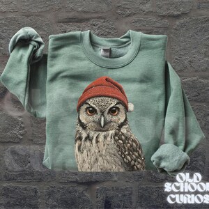 May include: A sage green sweatshirt featuring a detailed illustration of an owl wearing a red beanie. The owl has large, expressive eyes and is centered on the front of the sweatshirt. The text "OLD SCHOOL CURIOS" is at the bottom right.