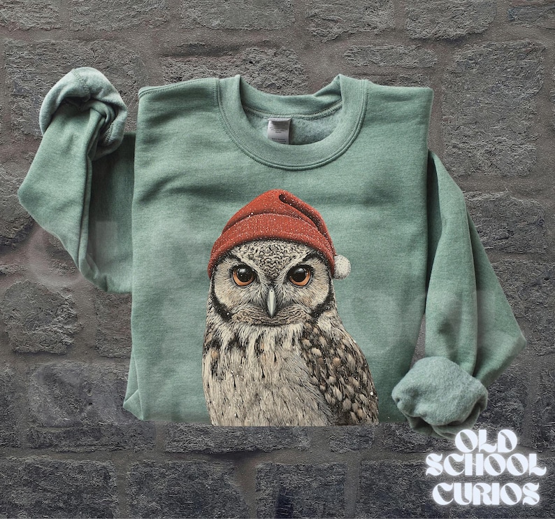 May include: A sage green sweatshirt featuring a detailed illustration of an owl wearing a red beanie. The owl has large, expressive eyes and is centered on the front of the sweatshirt. The text "OLD SCHOOL CURIOS" is at the bottom right.