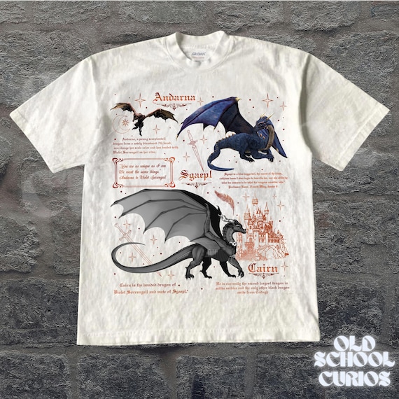 Vintage 90s Style Fourth Wing Dragon Rider T-shirt, Riders Quadrant Shirt, Basgiath Shirt, Dragon Rider Shirt, Bookish Gift for Readers