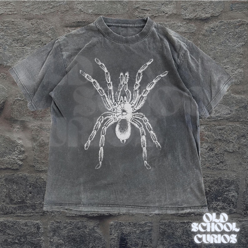 Peut inclure: T-shirt gris avec un motif d'araign&eacute;e blanche. Le t-shirt a un aspect vintage et d&eacute;lav&eacute;. Le texte "OLD SCHOOL CURIOS" est imprim&eacute; en bas &agrave; droite dans une police stylis&eacute;e.