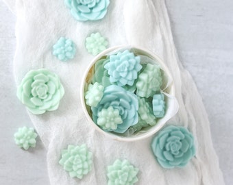 Spring Wax Melts Bloomulent, Easter Wax Tarts, Green Blue Succulents, Citrus Basil Agave Mint Chamomile Scent, Housewarming Gift