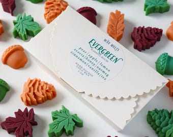 Fall Wax Melts Evergreen 4 oz - Cozy Home Fragrance Apple Pear Cinnamon Honey