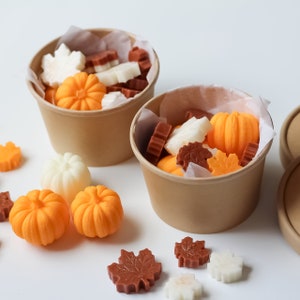 Fall Wax Melts Hello Pumpkin | Scented Coco Wax Melts Orange + Peppercorn + Apple + Vanilla | Fall Home Fragrance - 3.5 oz.