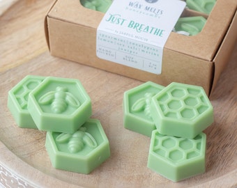 Mother's Day Gift, Aromatherapy Wax Tarts Just Breathe, Fresh Scent Eucalyptus Spearmint Lemon Sea Salt, Gift for Mom