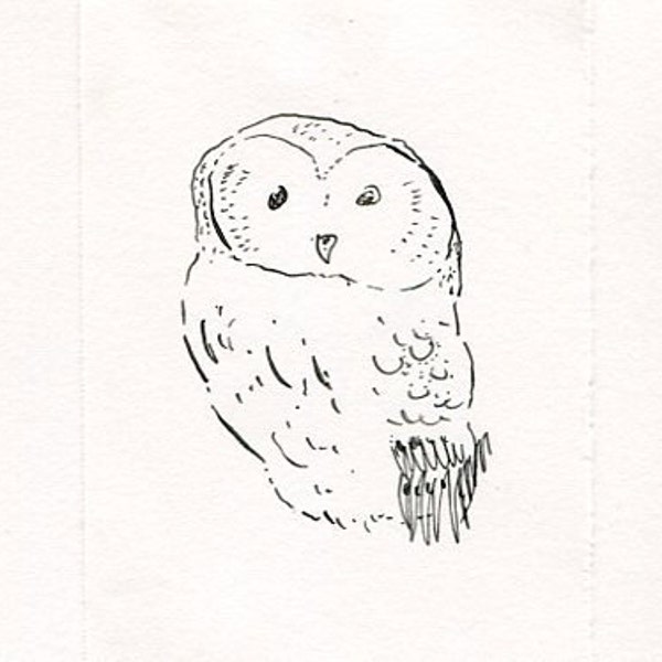 Tiny Owl Sketch
