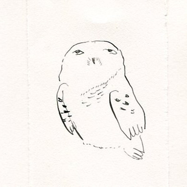 Reserved Listing: Tiny Owl Sketch