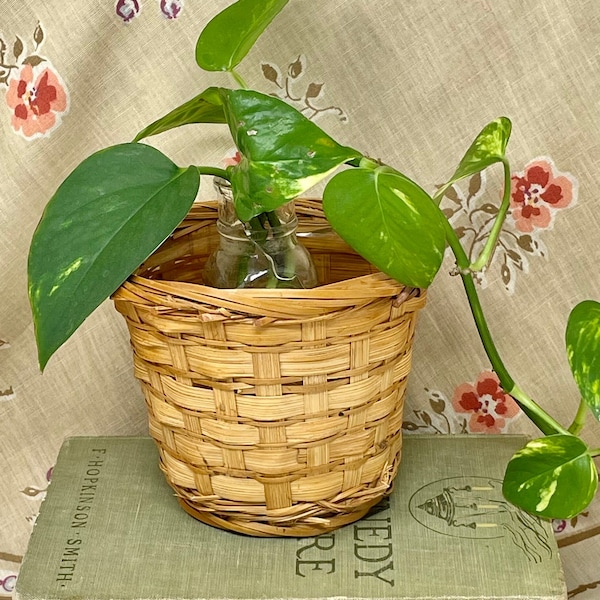 Plastic Lined Plant Basket Etsy