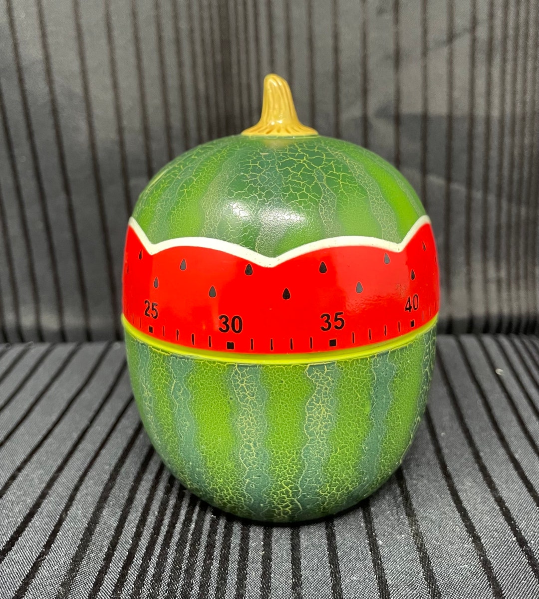 Vintage Sixty Minute Watermelon Timer Etsy