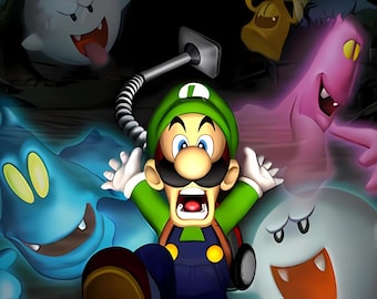 custom Anime Nintendo 3DS/NDS Case