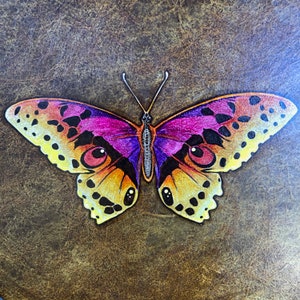 BUTTERFLY MEDICINE SPIRIT - Joy & Transformation shaman drum with custom totem symbology artwork -  10&quot; diameter