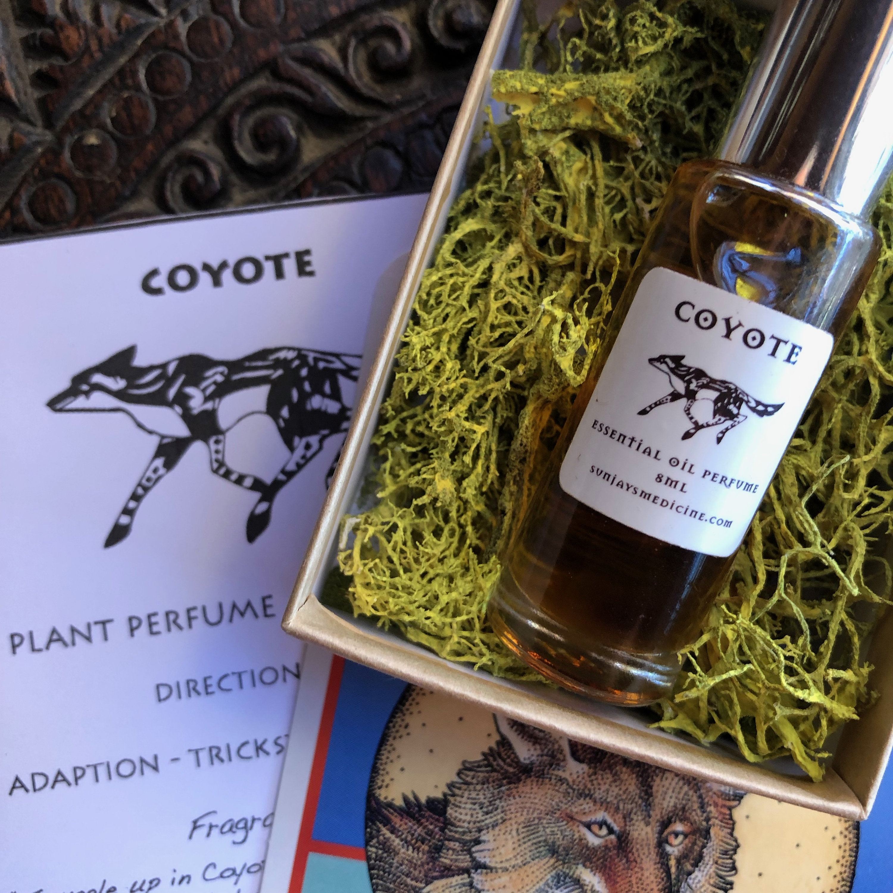 COYOTE Spirit Medicine Bundle Animal Totem Medicine Bag Etsy Canada