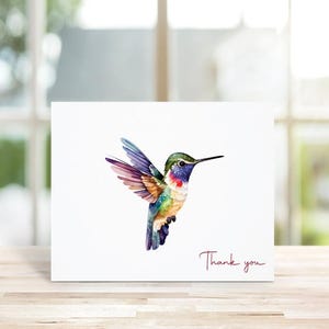 Cartes de remerciement Colibri, Cartes de correspondance Colibri, Colibris, Cartes Colibri, Cartes de remerciement, Cartes de remerciement