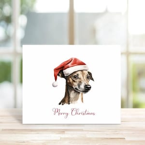 Dog Christmas Cards, Greyhound, Dogs, Dog Stationery, Dog Cards, Christmas Cards Dogs, Pets, Greyhound Christmas Cards