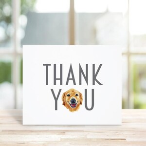 Golden retriever, cartes de remerciement, amoureux de Golden Retriever, papeterie Golden Retriever, cartes de correspondance, ensemble de papeterie, cadeau pour amoureux des chiens