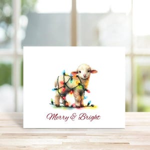 Lamb Christmas Cards, Lamb, Holiday Card Set, Sheep, Farm Animals, Christmas Cards, Christmas Cards, Funny Christmas Cards, Handmade