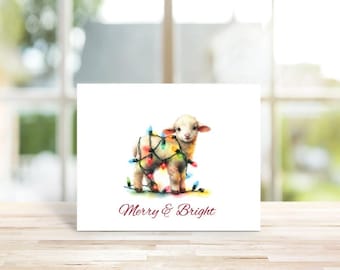 Lamb Christmas Cards