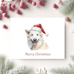 Dog Christmas Cards, Holiday Card Set, Dogs, Dog Stationery, Dog Cards, White Swiss Shepherd, Christmas Cards Dogs, Pets, Christmas Cards