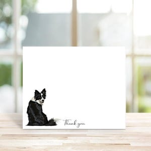 May include: A white card with a black and white border collie sitting on its hind legs. The dog is looking back over its shoulder. The text "Thank you" is printed on the bottom right corner of the card.