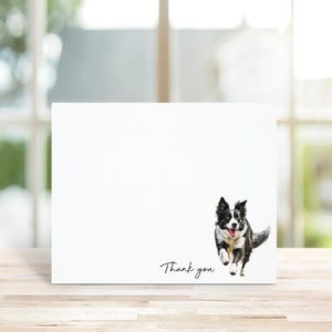 Border Collie Note Cards